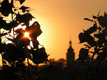 PICT0054a.jpg