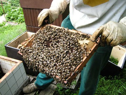 PICT0020a.jpg
