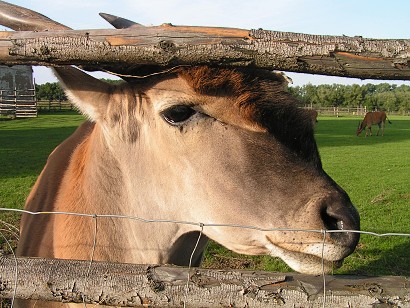 PICT0023a.jpg