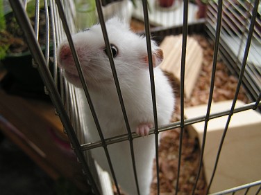PICT0266a.jpg