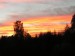 PICT0068a.jpg